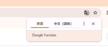 如何使用Chrome浏览器进行网页翻译4