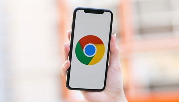 Google浏览器如何加速网页的资源加载缩略图