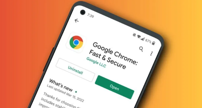 Google浏览器插件开发中的资源预加载技巧缩略图