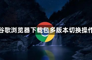 谷歌浏览器下载包多版本切换操作1