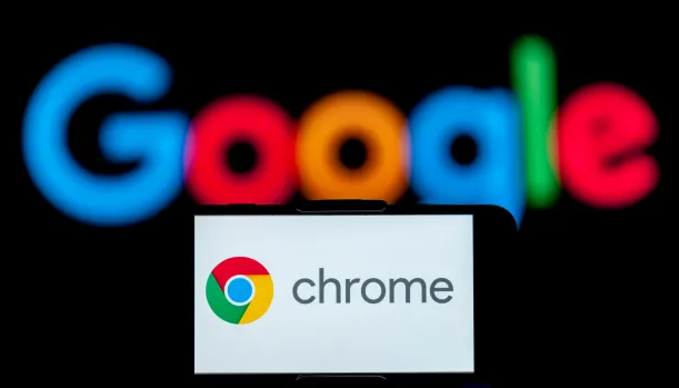 Google Chrome下载包是否经过数字签名验证缩略图