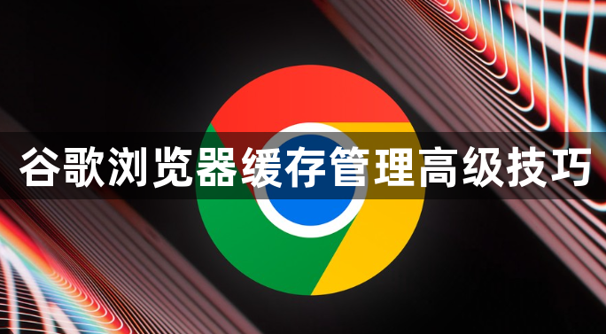 谷歌浏览器缓存管理高级技巧1