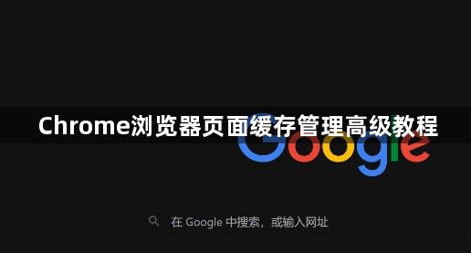 Chrome浏览器页面缓存管理高级教程1