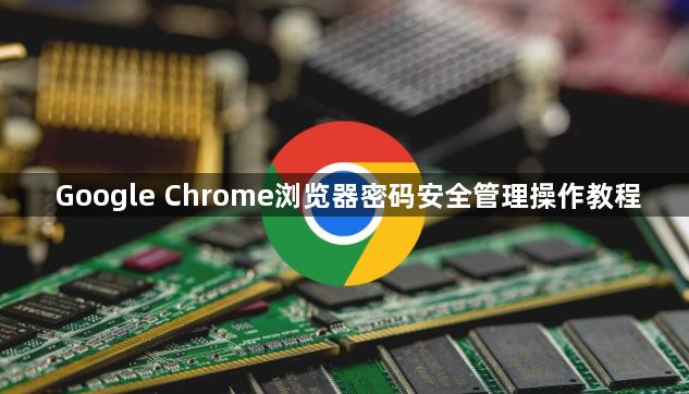 Google Chrome浏览器密码安全管理操作教程1