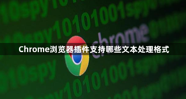 Chrome浏览器插件支持哪些文本处理格式1