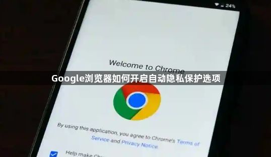 Google浏览器如何开启自动隐私保护选项1