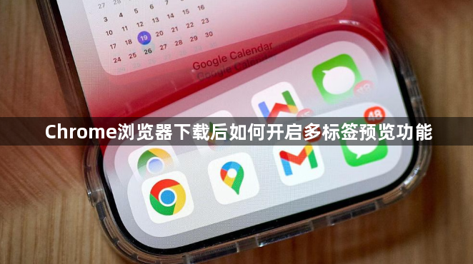 Chrome浏览器下载后如何开启多标签预览功能1