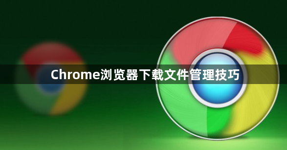 Chrome浏览器下载文件管理技巧1