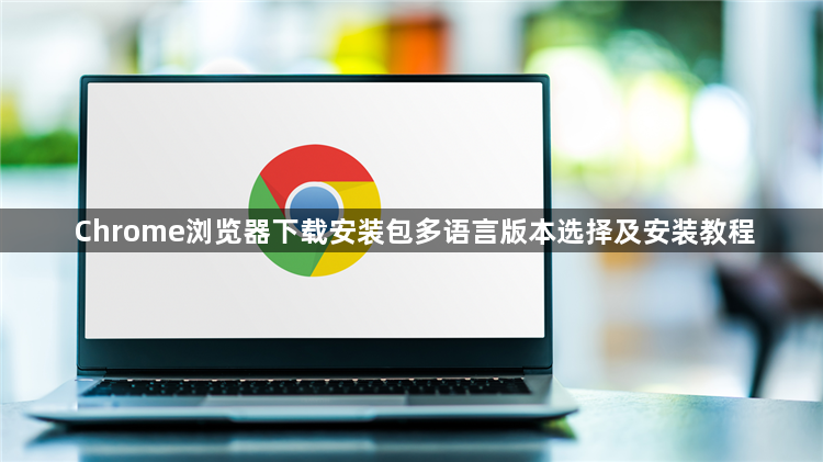 Chrome浏览器下载安装包多语言版本选择及安装教程1