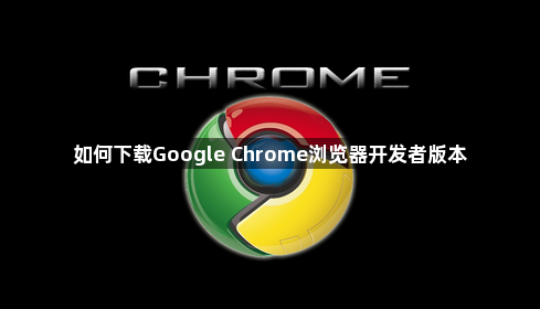 如何下载Google Chrome浏览器开发者版本1