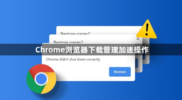 Chrome浏览器下载管理加速操作1