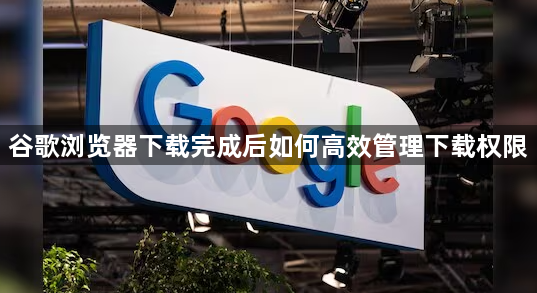 谷歌浏览器下载完成后如何高效管理下载权限1