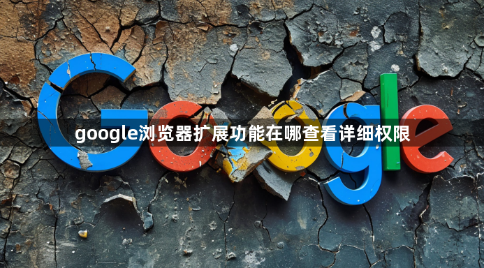 google浏览器扩展功能在哪查看详细权限1