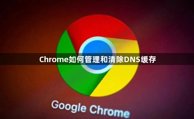 Chrome如何管理和清除DNS缓存1