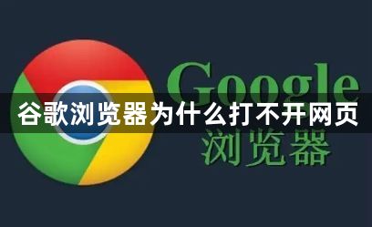 谷歌浏览器为什么打不开网页1