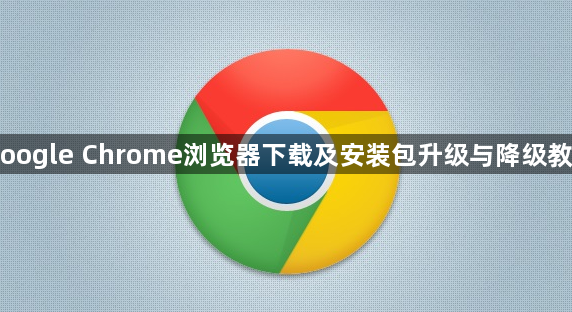 Google Chrome浏览器下载及安装包升级与降级教程1