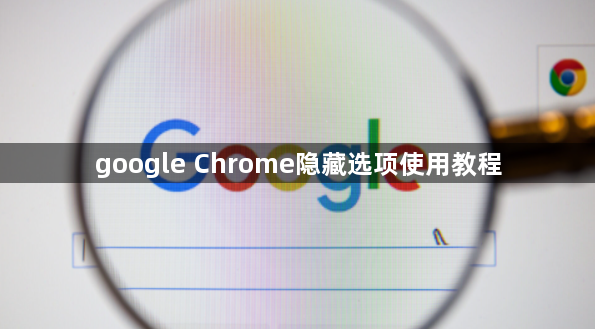 google Chrome隐藏选项使用教程1
