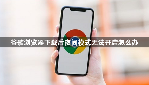 谷歌浏览器下载后夜间模式无法开启怎么办1