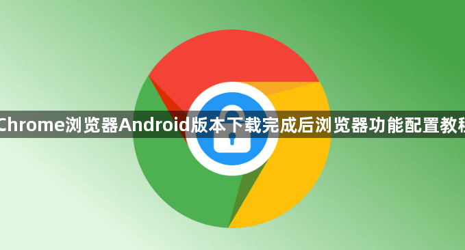 Chrome浏览器Android版本下载完成后浏览器功能配置教程1