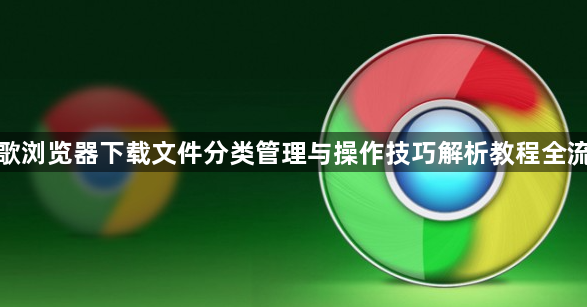 谷歌浏览器下载文件分类管理与操作技巧解析教程全流程1